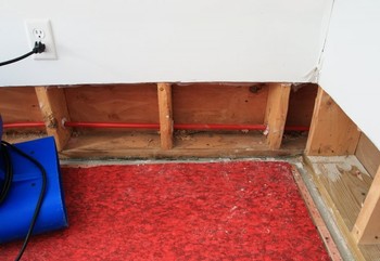 Basement Flood in Evans, Colorado